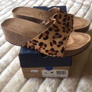 Cheetah sandal